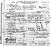 Shiverdecker, Christina 'Tina': Death Certificate of Christina 'Tina' Shiverdecker (1862-1935)
