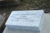Lovell, Carroll Vinson (1924-2000)