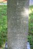 Margaret Isabella McClearge