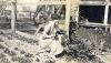 Lovell, Ethel Geraldine   (1891-1965) 