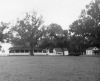 MacDonell, John Angus 'Rice King' (b.1855)& Frances 'Aunt Frank' MacDonald owned and operated the MacDonell Plantation
 
