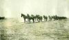 Johnson, Albert Harrison 'California Johnson' (1856-1923) &  Luthera May Van Dusen(1861-1923)   