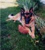 Smith, Ago 'Gus' (2002-2010)