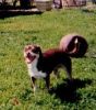 Smith, Perdita Byrd 'Perdy' (1994-2007)