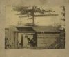 Coatney, Benjamin Harrison (1865-1925)