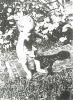 Forney, Thelma 'Corrine' (1918-1920)
